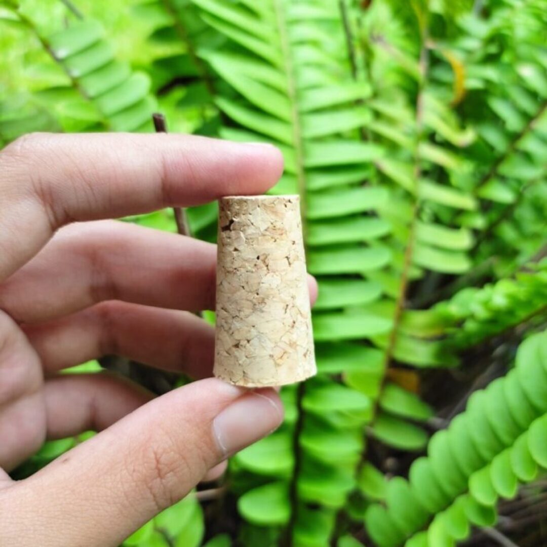 Beer wine bottle conical stopper cork