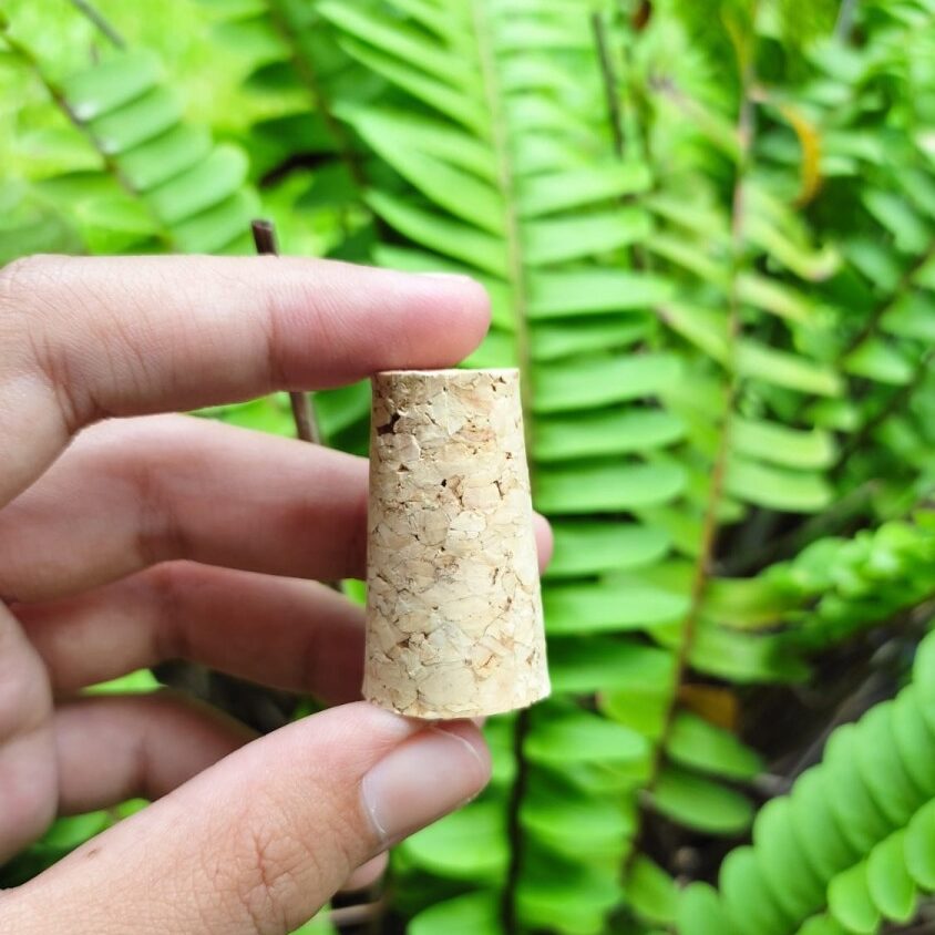 Beer wine bottle conical stopper cork