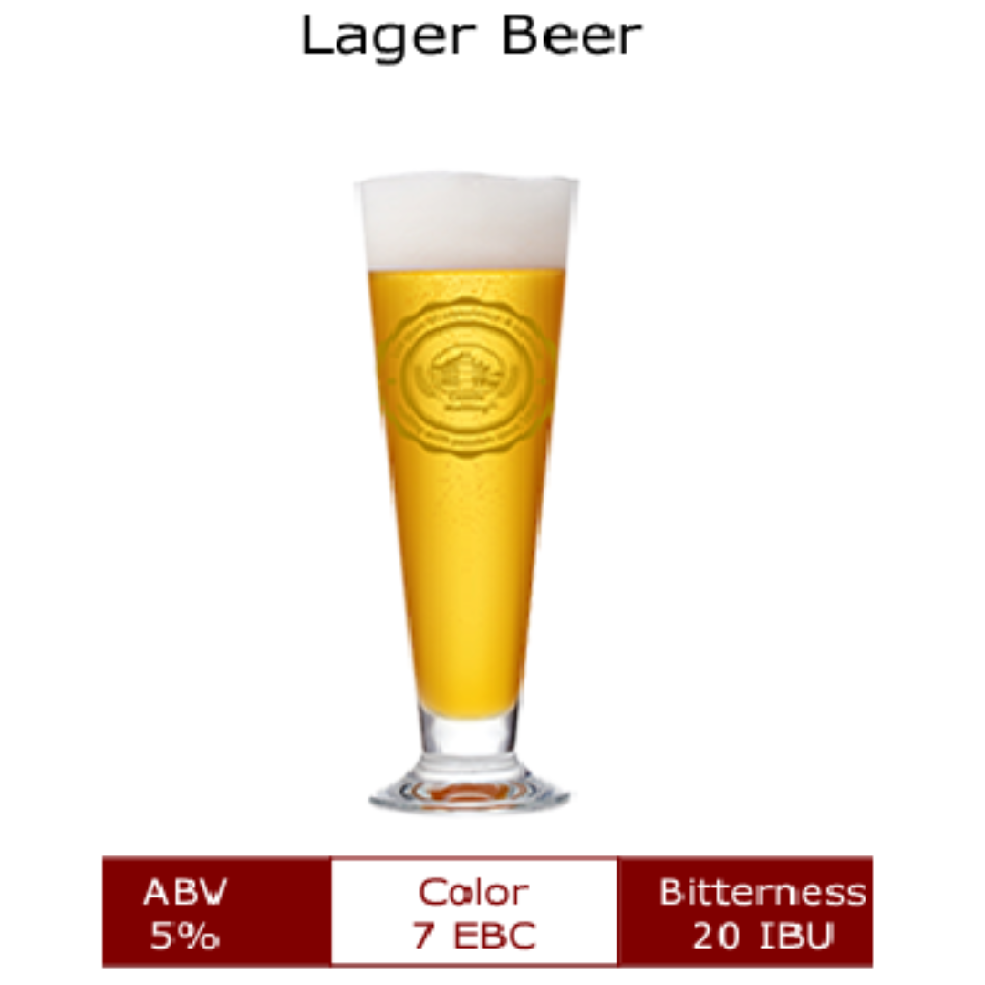 American Style Lager Beer 20L