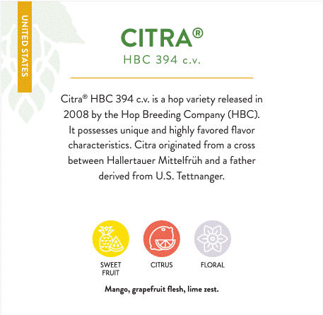 Citra US 2023 Pellets Type 90