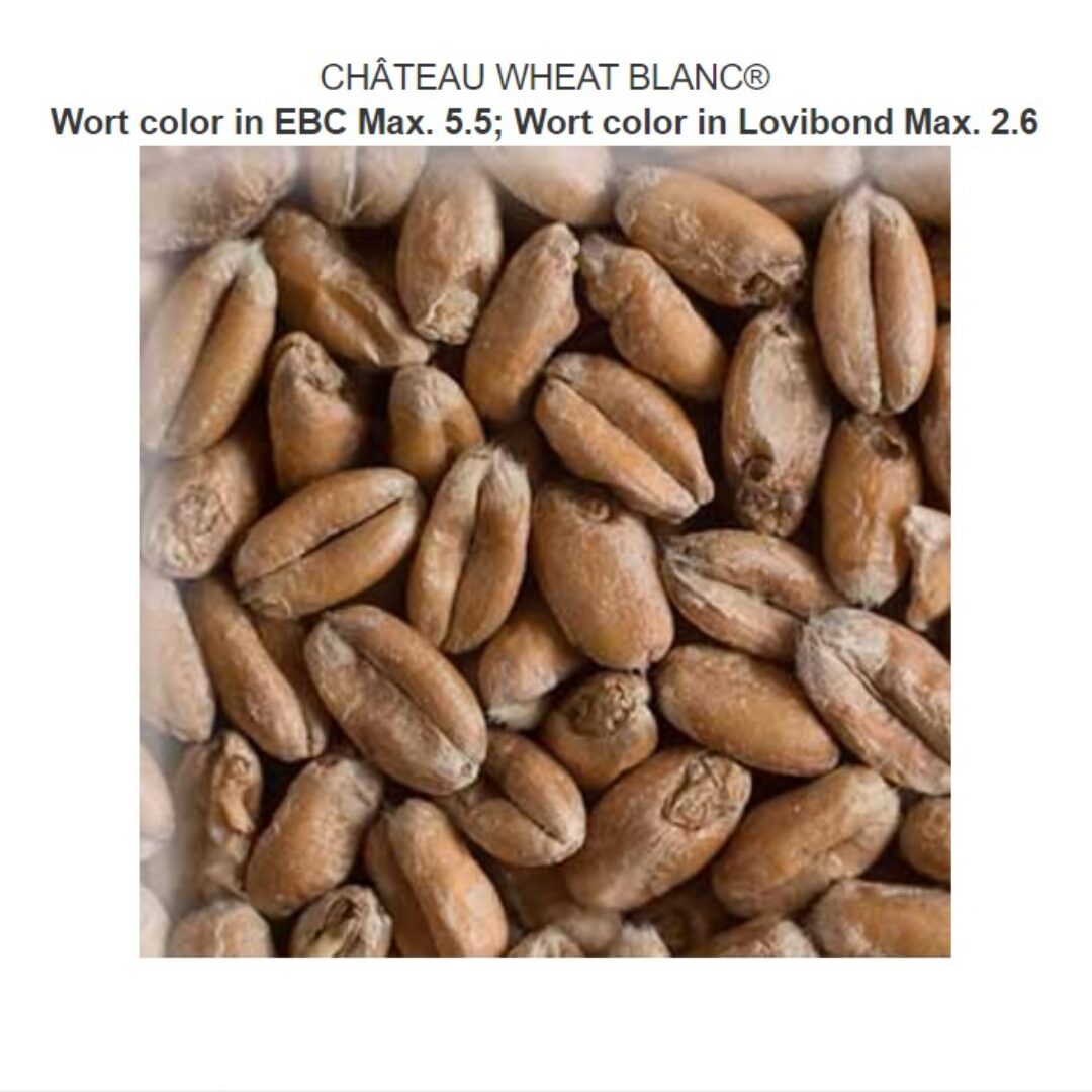 CHÂTEAU WHEAT BLANC Crop year 2022