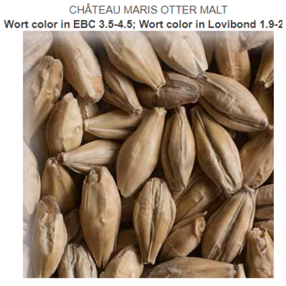 CHÂTEAU MARIS OTTER MALT Crop year 2023