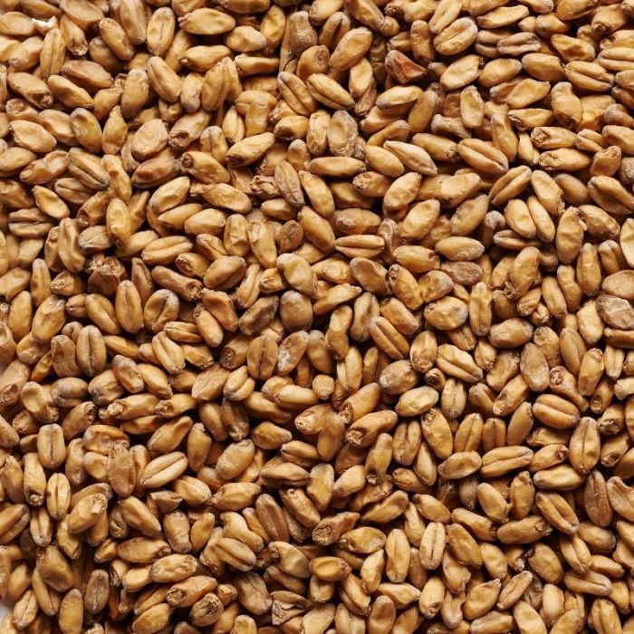 AUS WHEAT MALT AUSTRALIAN