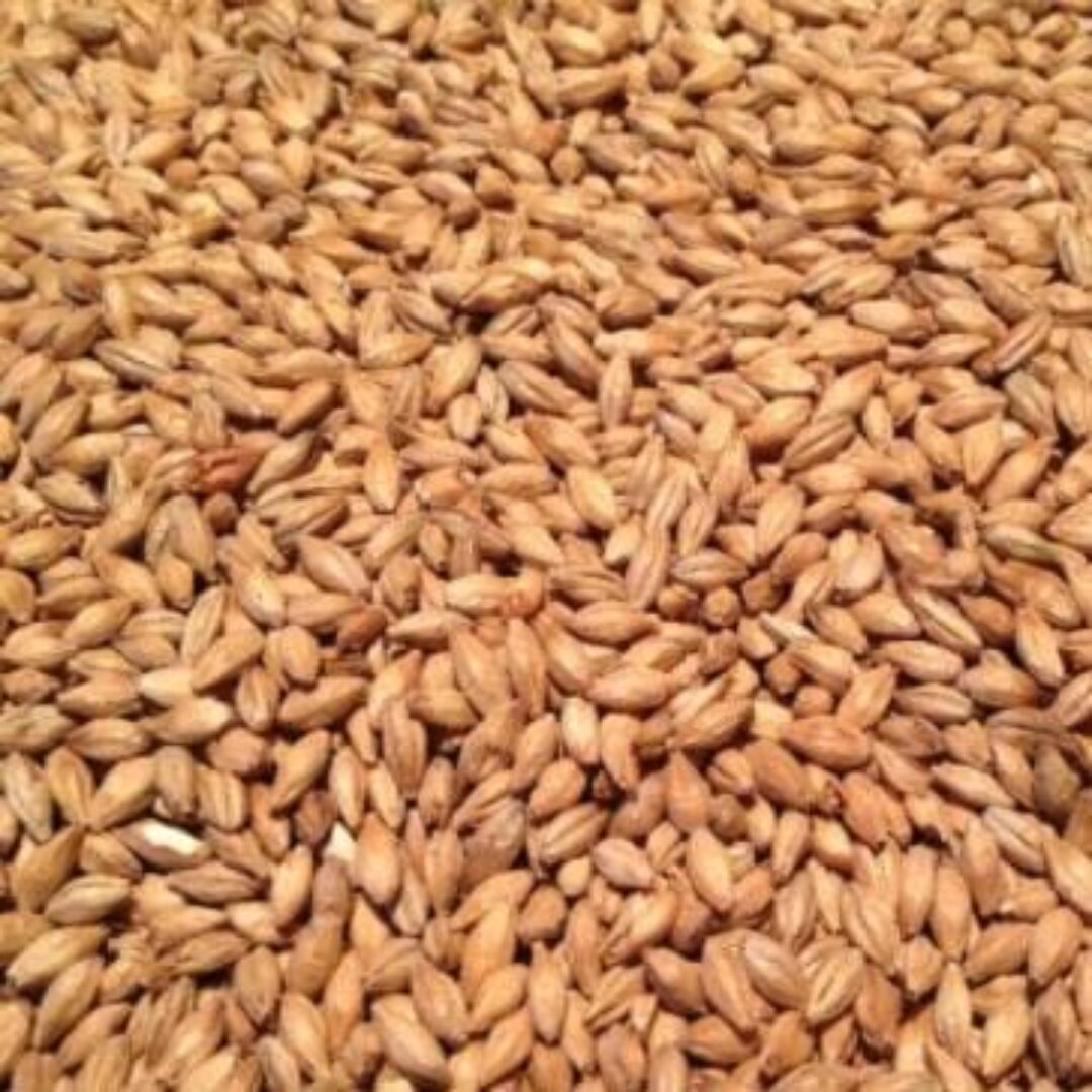 AUS BARLEY 2 ROW MALT AUSTRALIAN