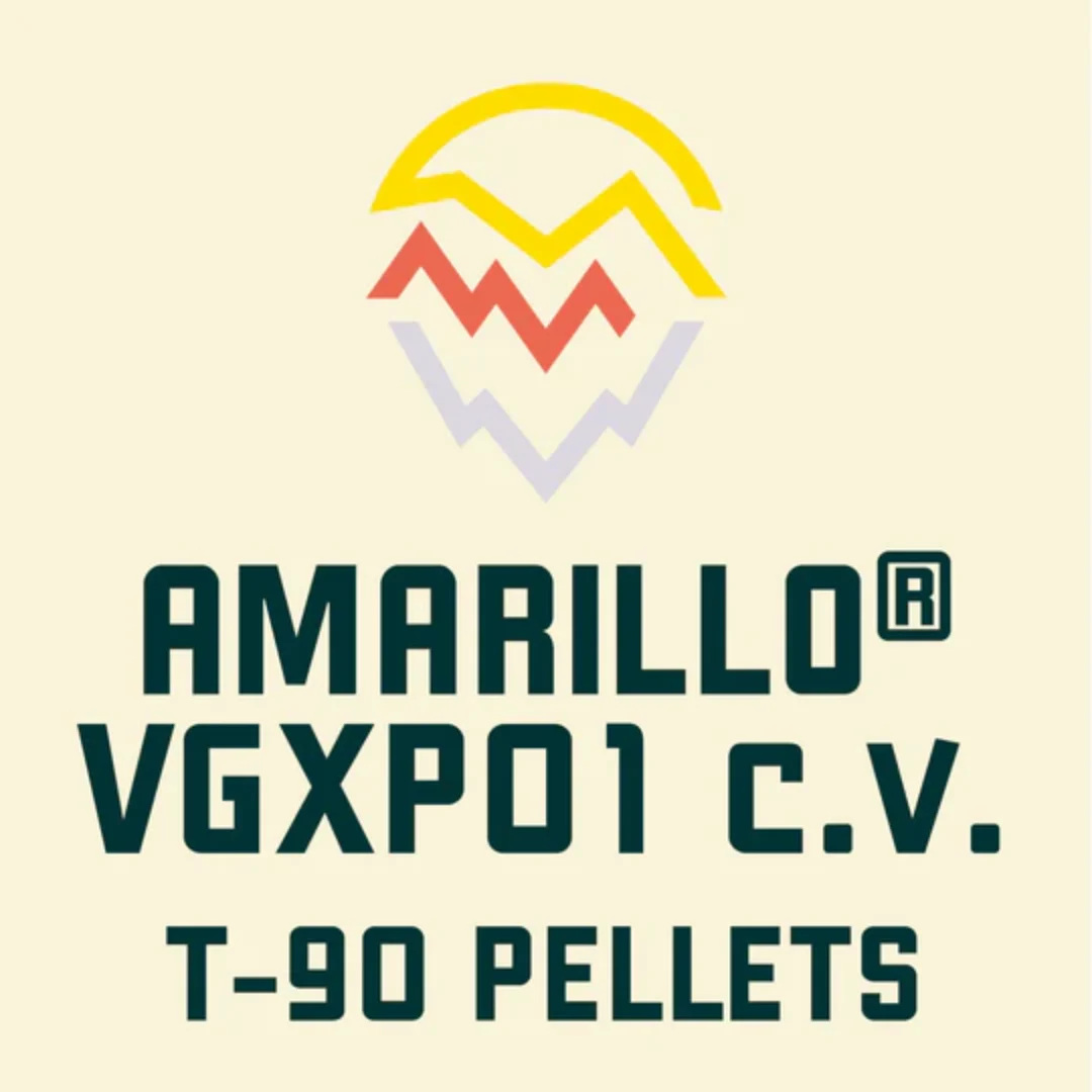 AMARILLO® 2022 VGXP01 c.v. Hop