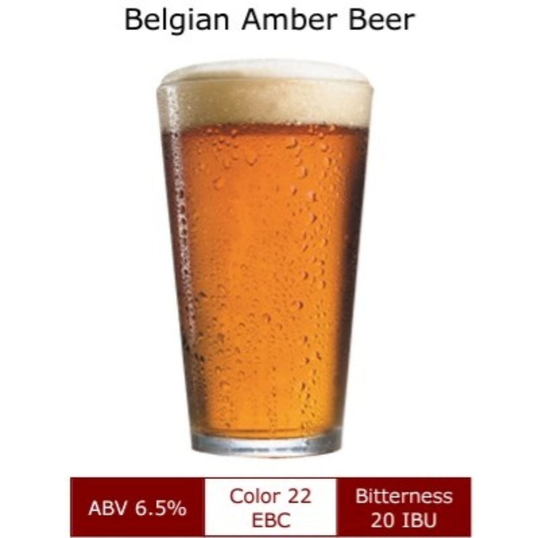 Belgian Amber Beer 20L