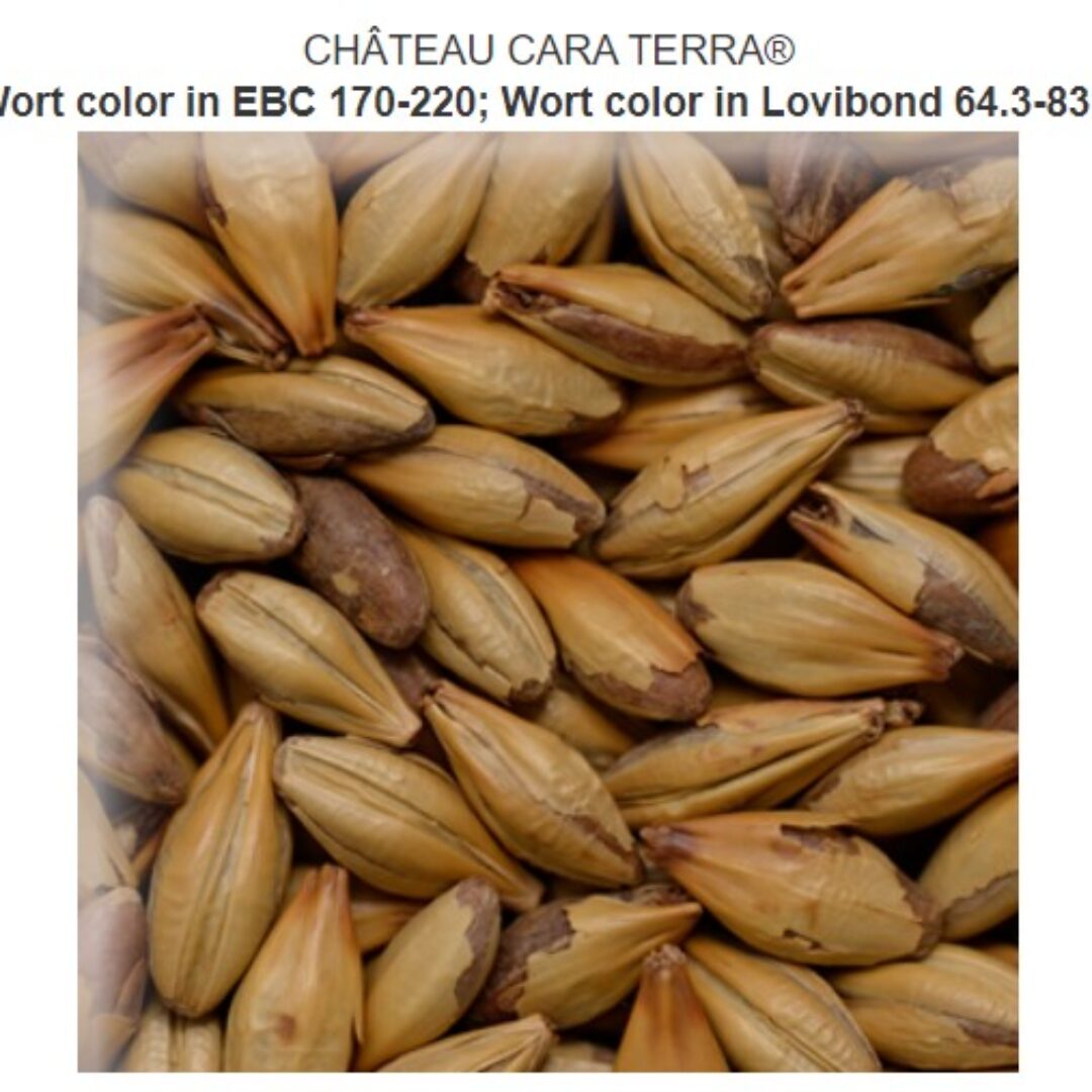 CHÂTEAU CARA TERRA® Crop year 2023