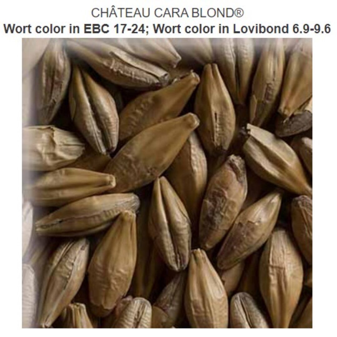 CHÂTEAU CARA BLOND® Crop year 2023