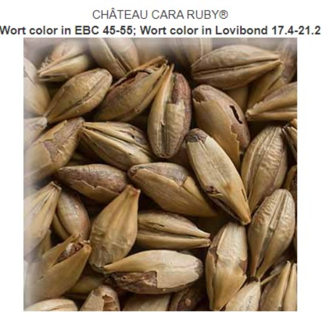 CHÂTEAU CARA RUBY® Crop year 2023