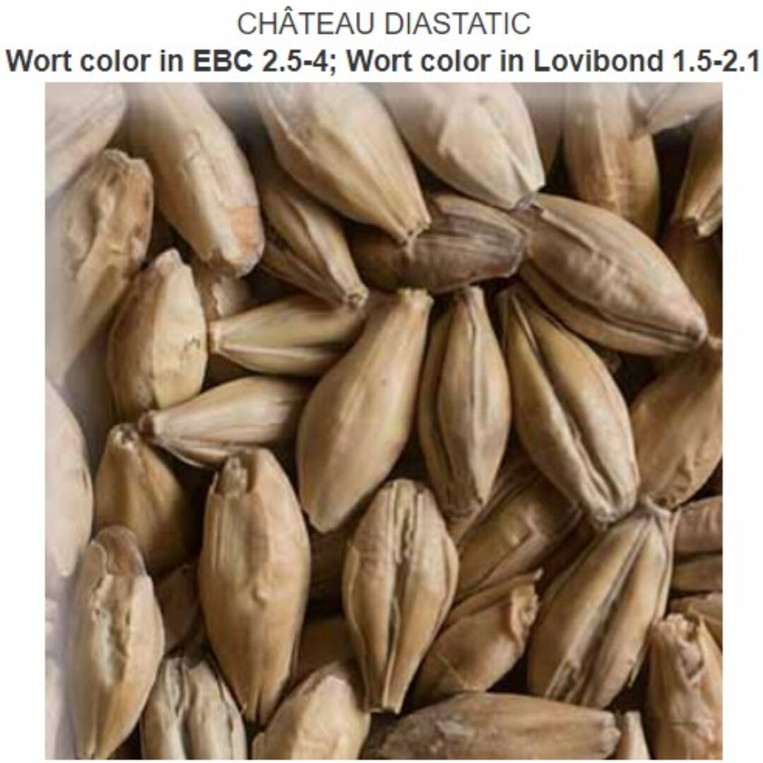 CHÂTEAU DIASTATIC® Crop year 2023