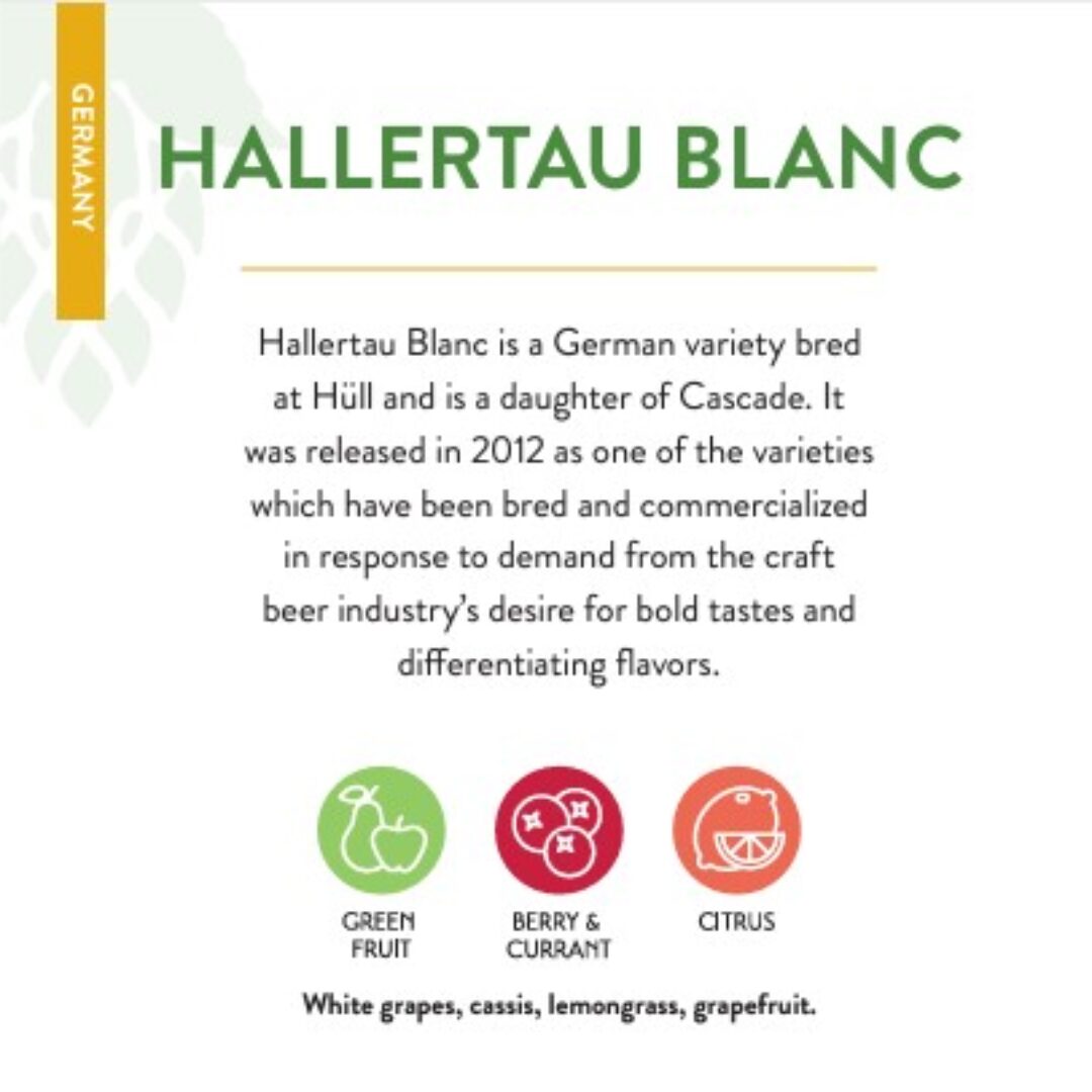 Hallertau Blanc 2022 Hops Pellets