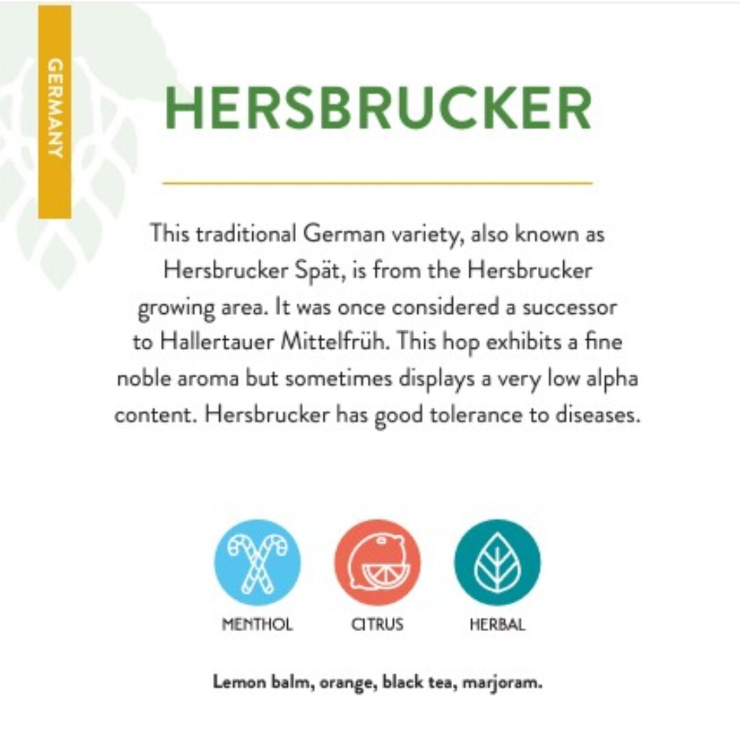 Hersbrucker 2022 Hops Pellets