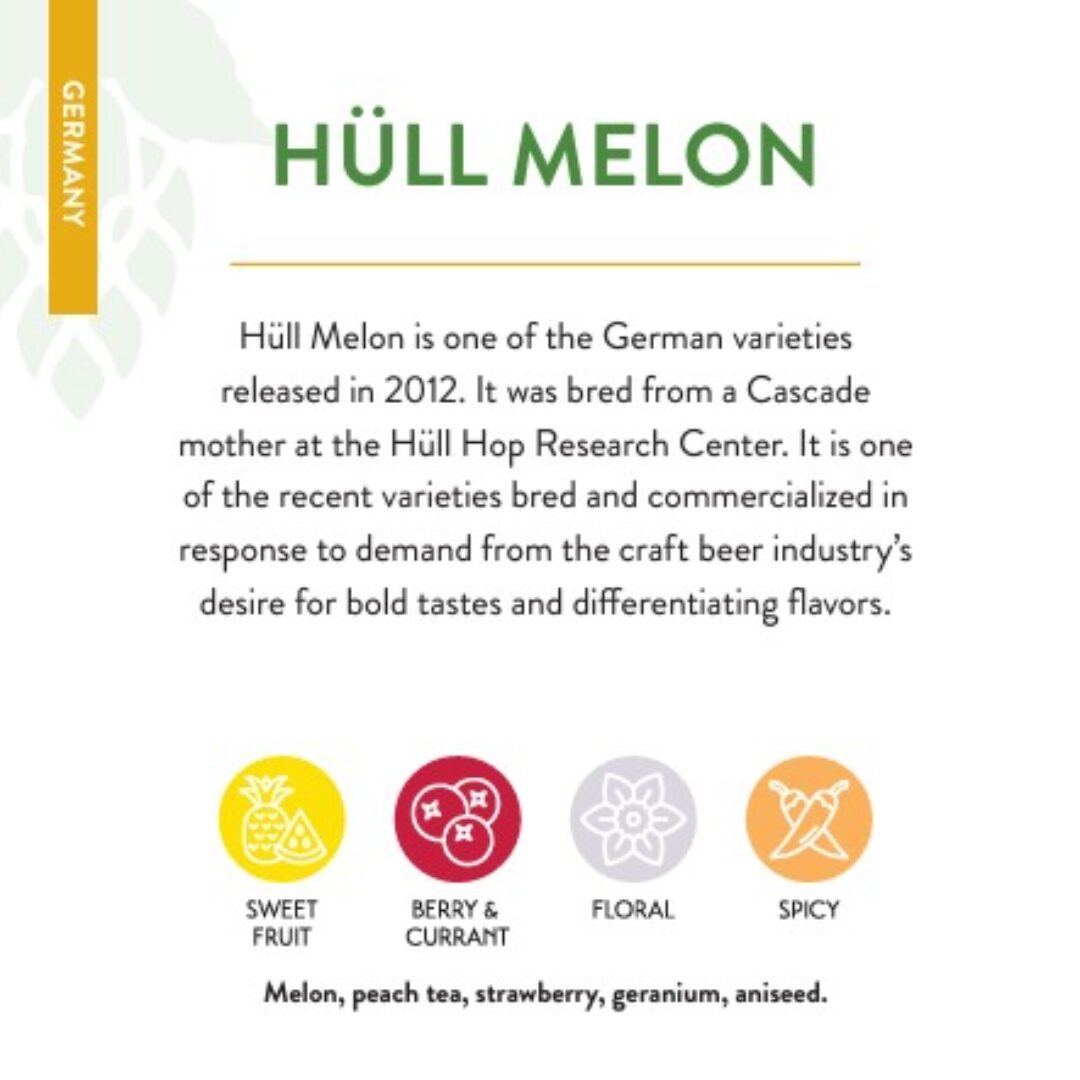 Hallertau Melon Hops Pellets