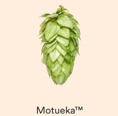 Motueka 2023 Hops Pellets